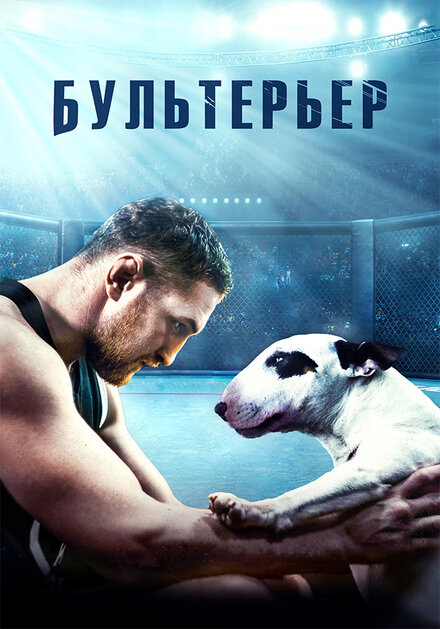 Бультерьер 