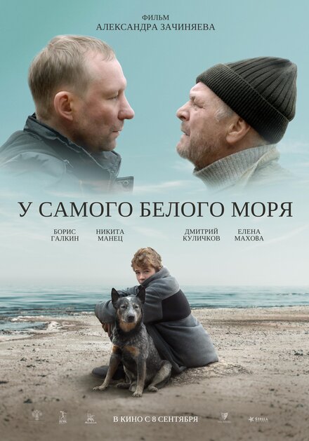 У самого Белого моря 