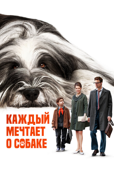 Каждый мечтает о собаке 